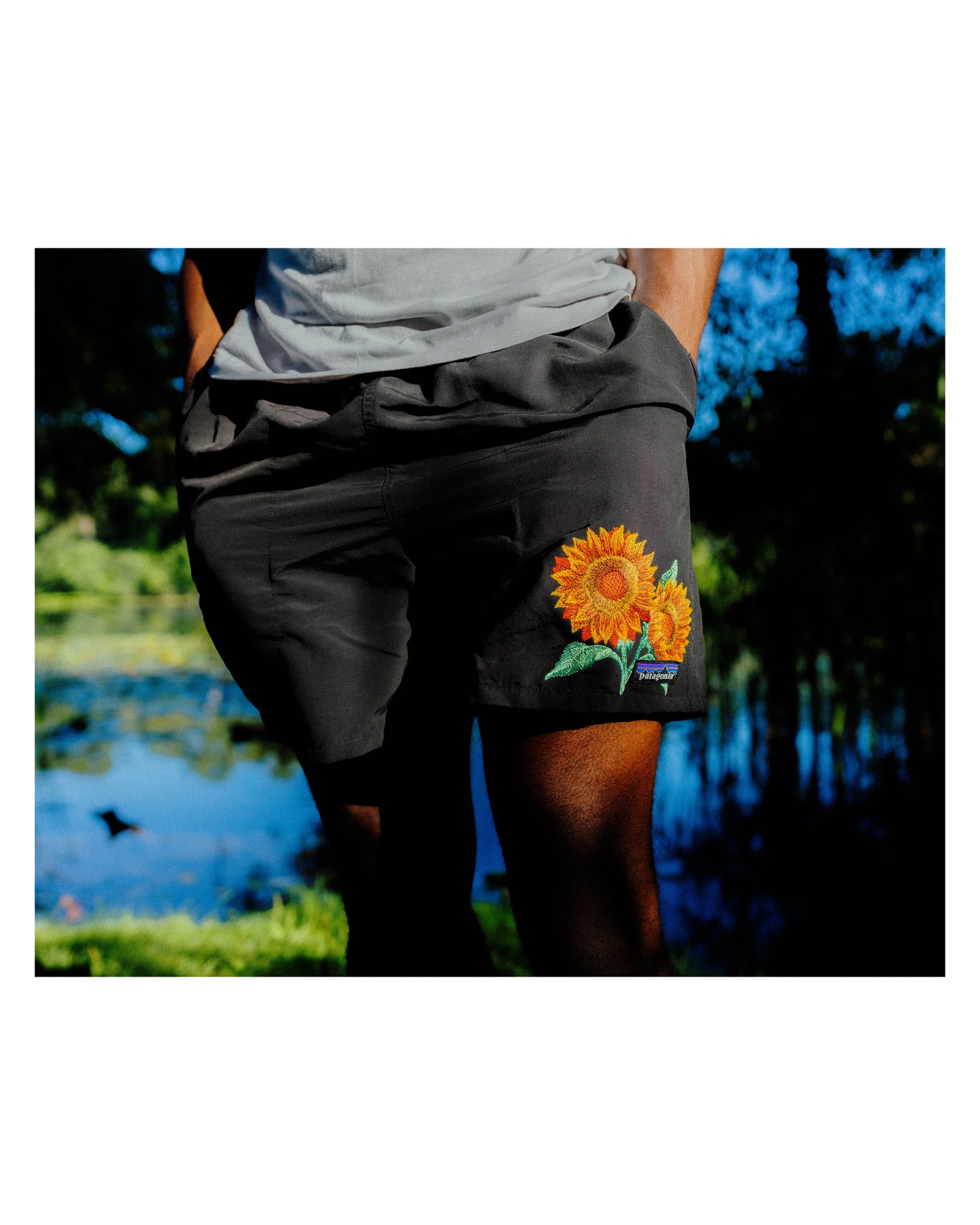 Patagonia Sunflower Shorts