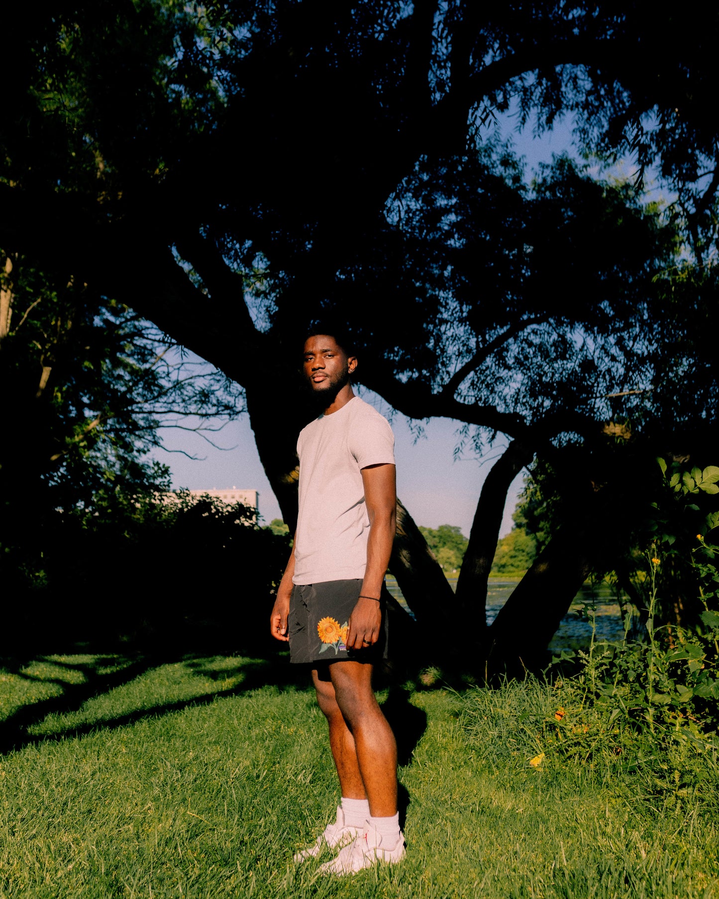 Patagonia Sunflower Shorts