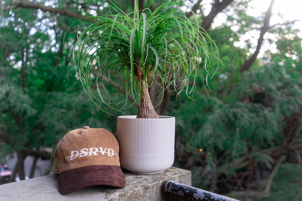 Corduroy Hats