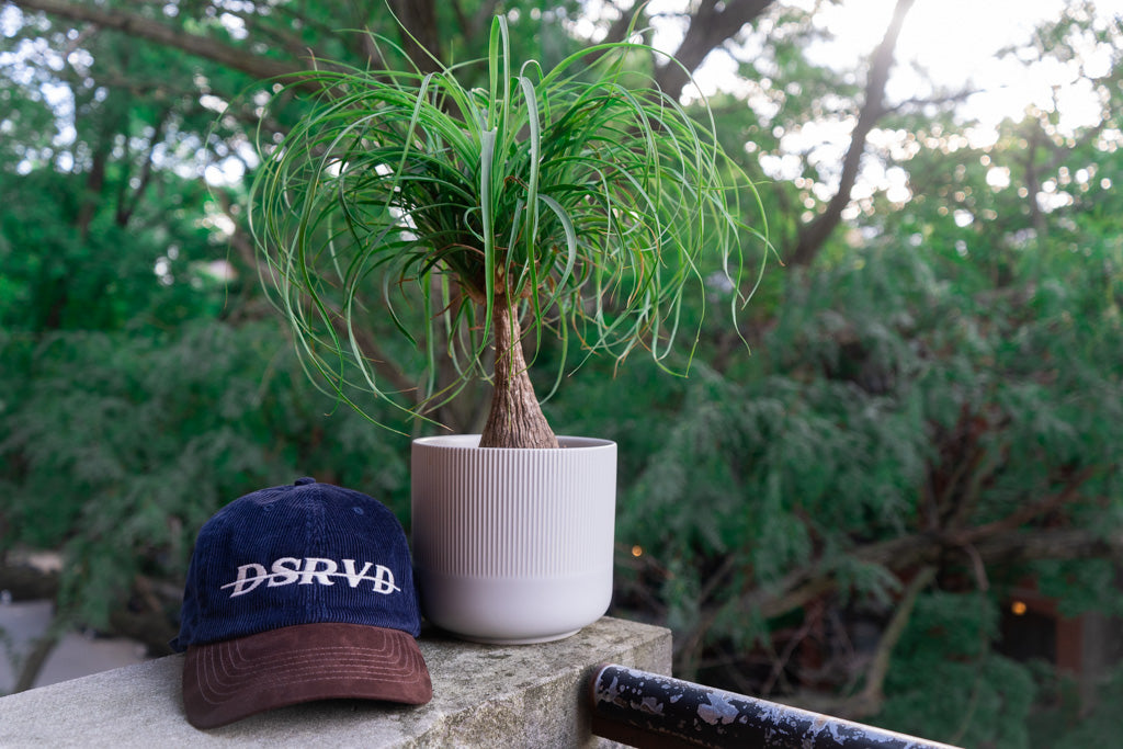 Corduroy Hats