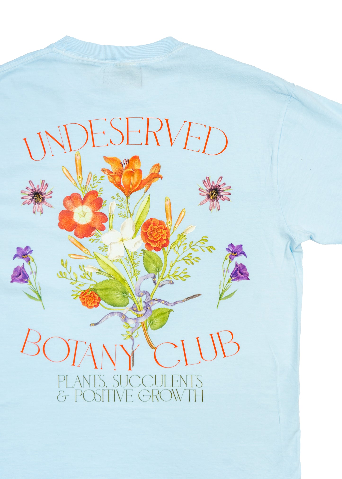 Botany Club Tee (Blue)