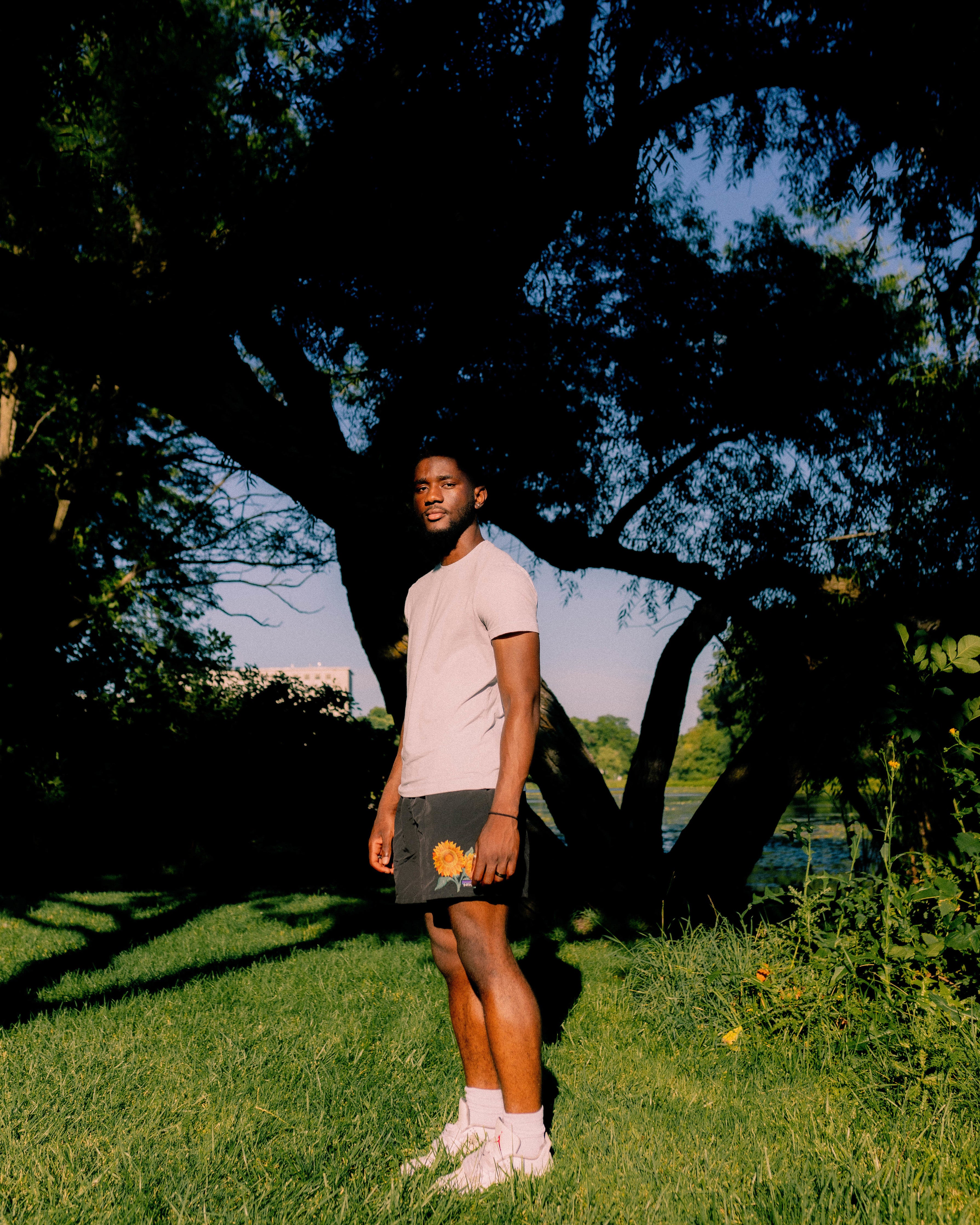 Patagonia Sunflower Shorts
